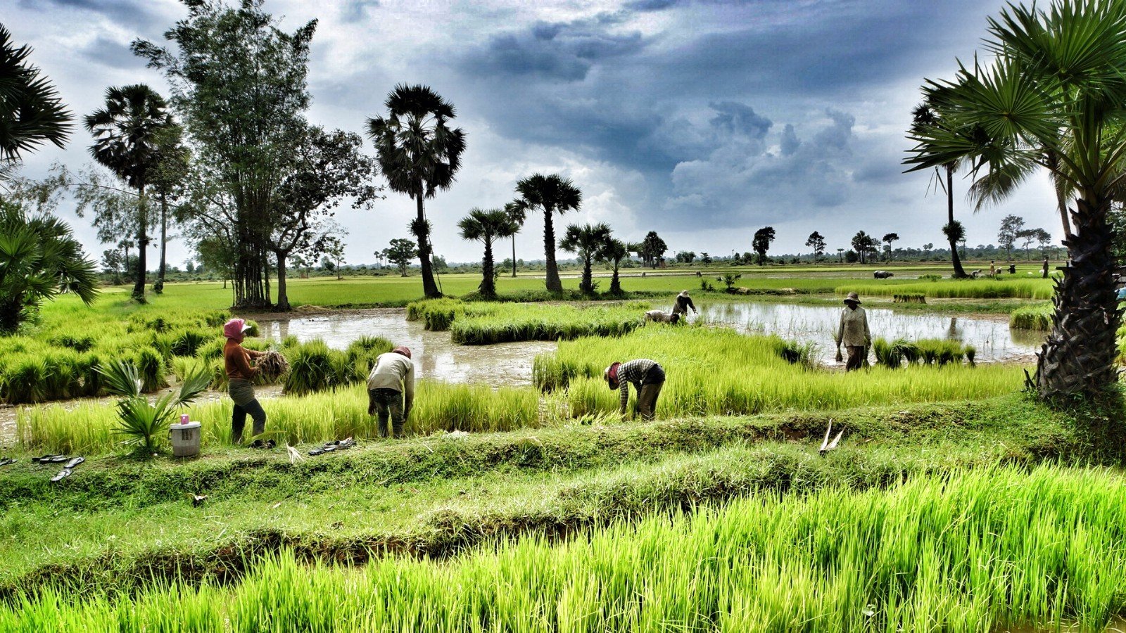 Hanoi Biking To Siem Reap Tour 13 Days
